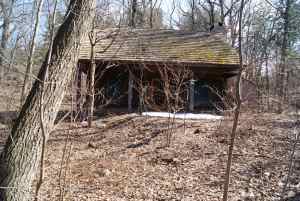 Eloise Butler April 8th 