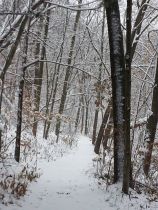 1476208_665774330139694_362244001_n