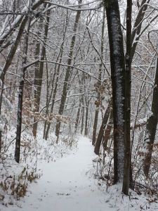 1476208_665774330139694_362244001_n