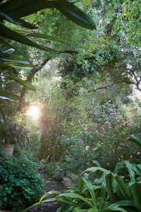 14beauty-arena-flowers-slide-6KFC-jumbo